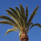 JacquelineR197 Avatar