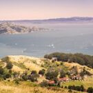 Explore693451 Avatar