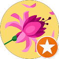 sez e. Avatar
