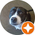 custard626 Avatar