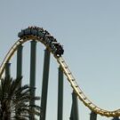 Savvytraveler51 Avatar